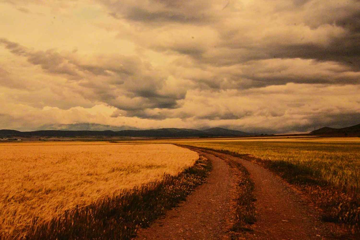 Exposición fotográfica de Feliciano Verde sobre la Soria de Machado