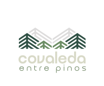  “Covaleda, entre pinos”, nueva marca turística de la localidad pinariega