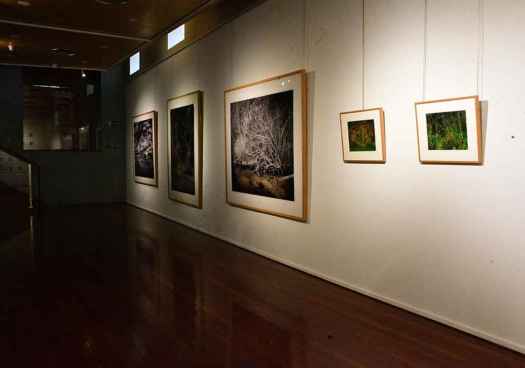 "En el mismo río", exposición de Juan de Sande, en Soria