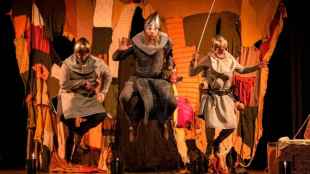 Todos los espectáculos del VI Festival Medinaceli TEATRO 