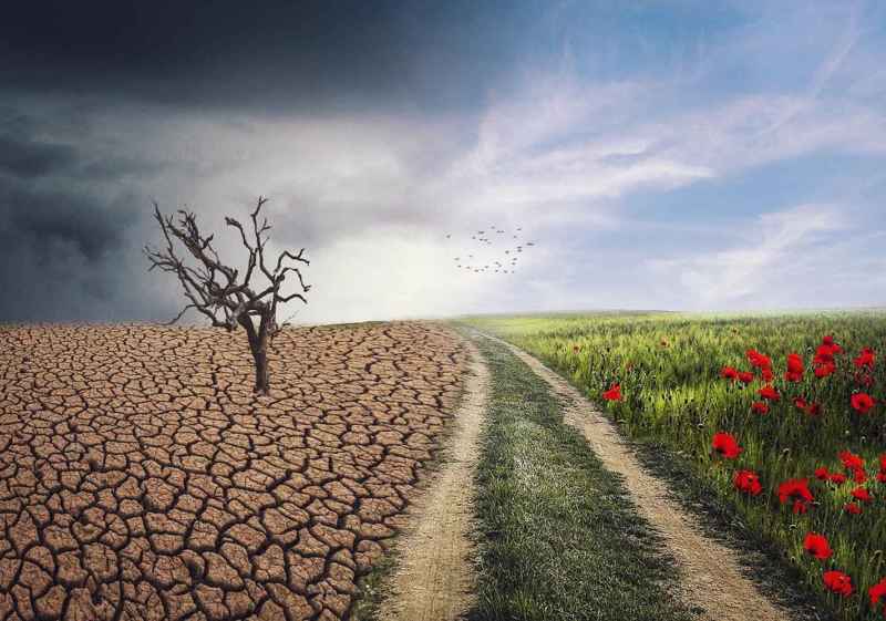 Amnistia Internacional expone "Justicia Climática" en la Casa del Parque de la Fuentona