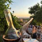 San Esteban de Gormaz concede premios en nueva edición de Concurso de Vinos Caseros