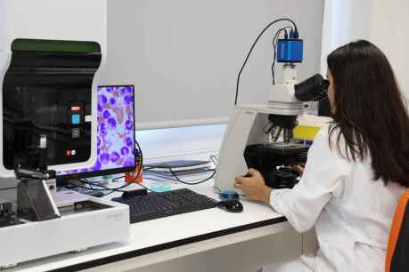 La Junta promueve Centro en Red de Terapias Avanzadas para impulsar la medicina del futuro La Junta promueve Centro en Red de Terapias Avanzadas para impulsar la medicina del futuro