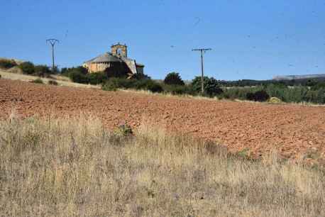 Garray, historia y naturaleza bajo el cerro de la Muela