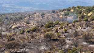 La Junta apela a ciudadanos para identificar a incendiarios en provincia de Ávila 