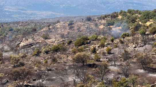 La Junta apela a ciudadanos para identificar a incendiarios en provincia de Ávila 
