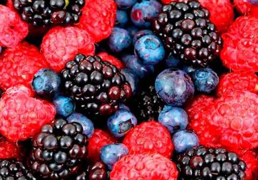 El Royo acogerá en agosto el taller “Frutos rojos para crear valor y futuro