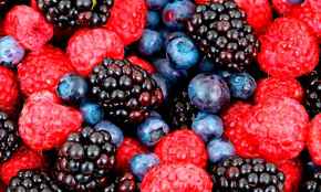 El Royo acogerá en agosto el taller “Frutos rojos para crear valor y futuro