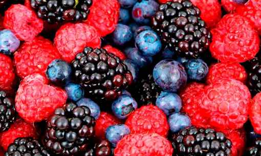 El Royo acogerá en agosto el taller “Frutos rojos para crear valor y futuro" El Royo acogerá en agosto el taller “Frutos rojos para crear valor y futuro"