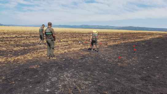 La Junta declara alerta de riesgo de incendios forestales, del 4 al 8 de agosto, en toda la Comunidad La Junta declara alerta de riesgo de incendios forestales, del 4 al 8 de agosto, en toda la Comunidad
