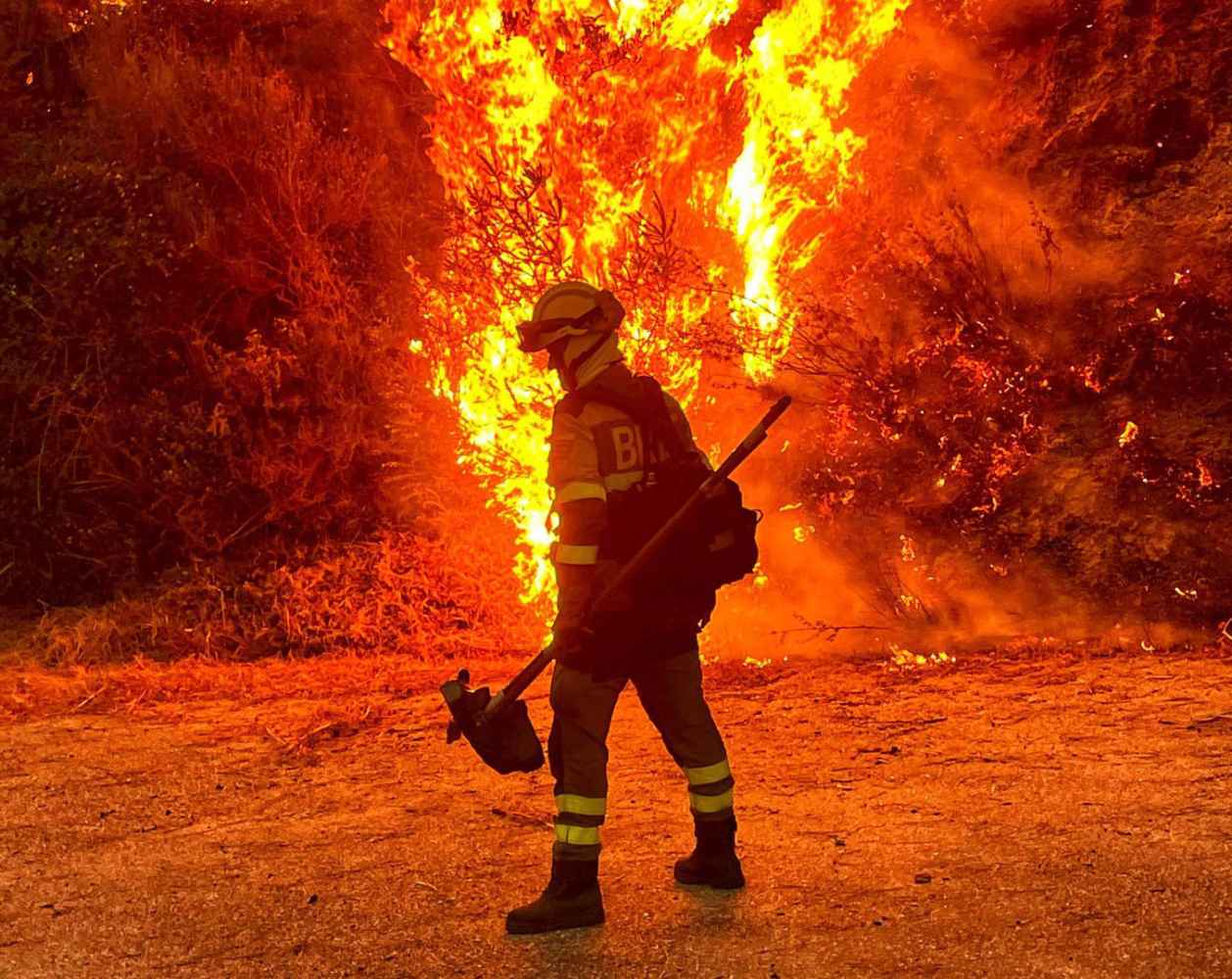 IU se concentra ante las Cortes para pedir cese de consejero de Medio Ambietne