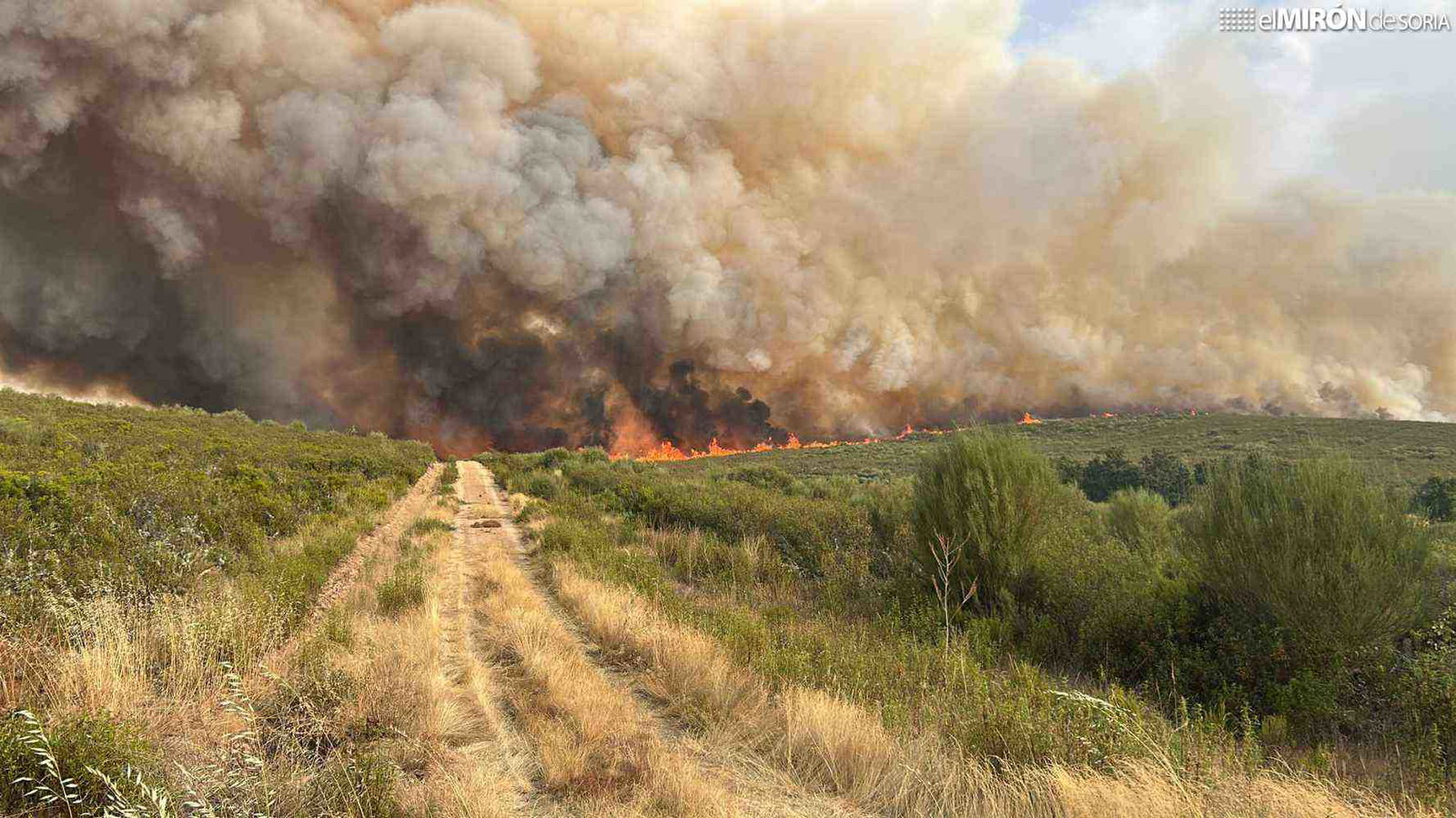 IU pide sanciones a empresas de extinción de incendios, por malas condiciones laborales
