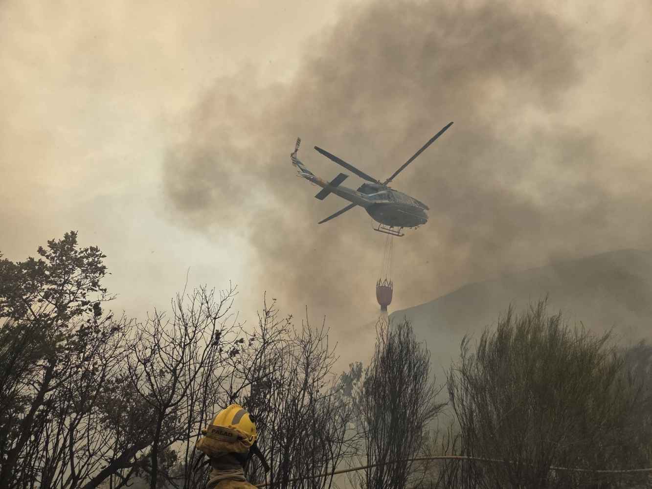 La superficie calcinada en España en 2025, toda la extensión de la provincia de Álava