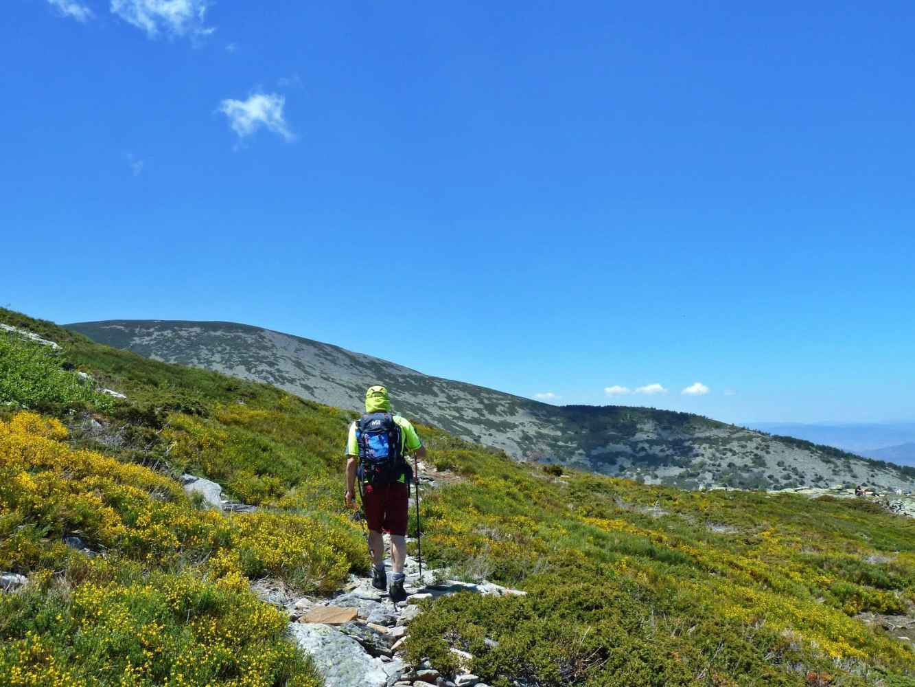 Ruta senderista guiada a Peña Negrilla, en el Moncayo soriano
