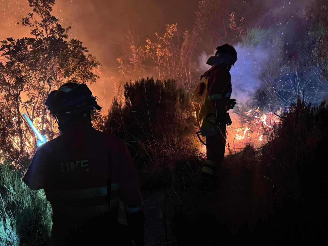 El Gobierno habilita vía para ayudas a damnificados por 114 incendios forestales en España