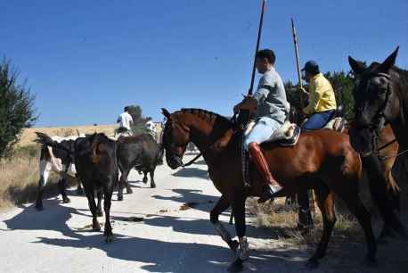 Gallinero celebra su jornada de la trashumancia