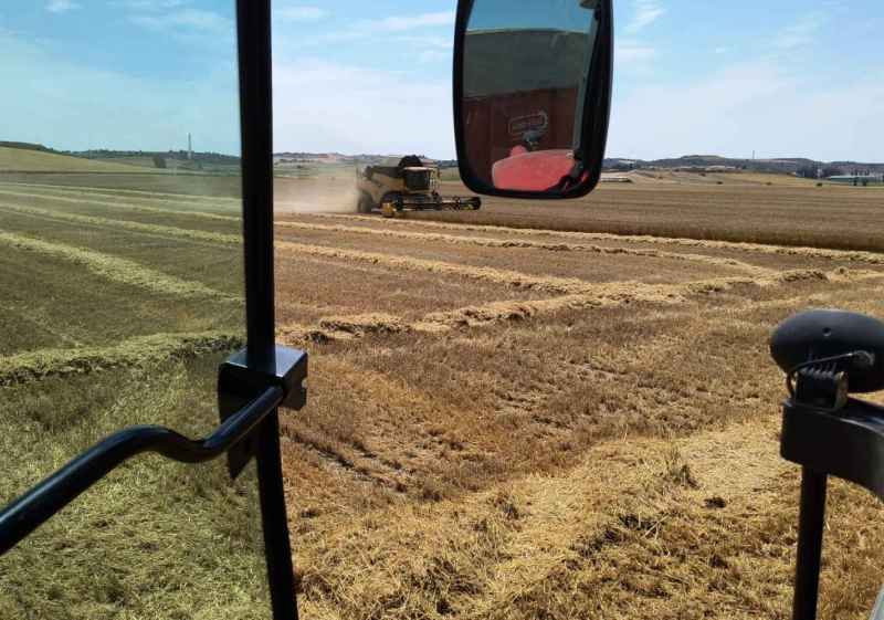 CC.OO. valora positivamente preacuerdo del convenio Agrícola-Ganadero