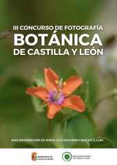 Abierto plazo para inscribirse en el concurso de fotografía Botánica de Castilla y León