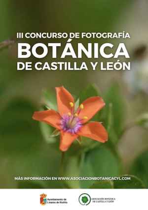 Abierto plazo para inscribirse en el concurso de fotografía Botánica de Castilla y León