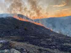 Veinte hectáreas calcinadas en incendio de vecino pueblo riojano de Valdeperillo