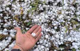 La campaña agrícola en Soria, marcada por récord histórico de superficie afectada por pedrisco