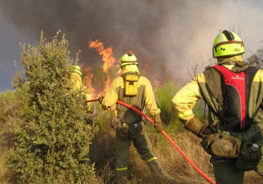 La Junta constituye la Dirección General de Prevención y Extinción de Incendios Forestales