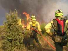 Detenido presunto autor de incendio forestal que arrasó 2.200 hectáreas en Ávila