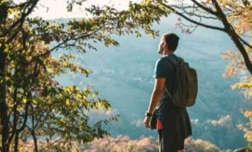 Inscripción abierta para talleres de emprendimiento de gestión forestal del proyecto RECONECTA en Soria Inscripción abierta para talleres de emprendimiento de gestión forestal del proyecto RECONECTA en Soria
