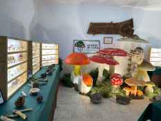 Sprint final del Mycological Summer Tour de Montes de Soria en cuatro pueblos  