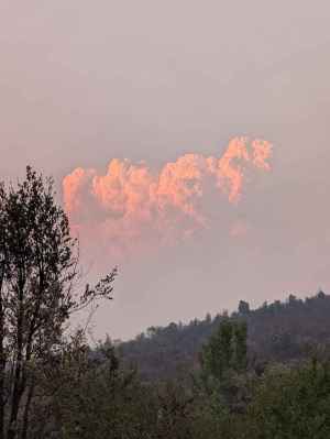 Convocan concentración en Soria para exigir fin de precariedad de bomberos forestales Convocan concentración en Soria para exigir fin de precariedad de bomberos forestales