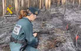 Investigado varón por su presunta implicación en incendio forestal en Castropodame (León)