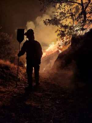 Casi 200.000 hectáreas de superficie forestal, calcinada en Castilla y León en período 2015-2024 Casi 200.000 hectáreas de superficie forestal, calcinada en Castilla y León en período 2015-2024