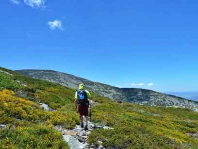 Ruta senderista guiada a Peña Negrilla, en el Moncayo soriano