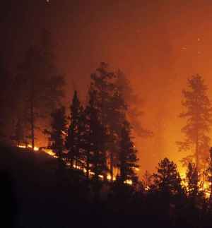 La Red SSPA resalta que incendios son otro de los efectos de la despoblación