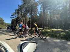 Varios ciclistas trasladados heridos a hospital de Soria, tras caida en 