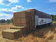 La Junta suministra 922.000 kilos de alimentos a 74 ganaderías afectadas por los incendios
