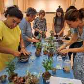 #cuidAlmazán cierra el verano con tres nuevas actividades