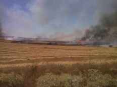Un incendio calcina 16 hectáreas en Ólvega, seis de ellas de arbolado