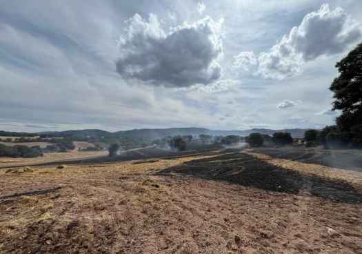 La Junta destina 4 millones para mejora y prevención de incendios en masas forestales