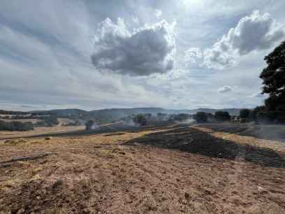 Un incendio calcina 16 hectáreas en Ólvega, seis de ellas de arbolado Un incendio calcina 16 hectáreas en Ólvega, seis de ellas de arbolado