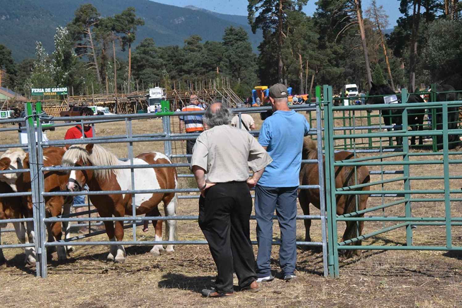 ASAJA Soria anima a toda la sociedad a visitar la XXV Feria Ganadera de Vinuesa