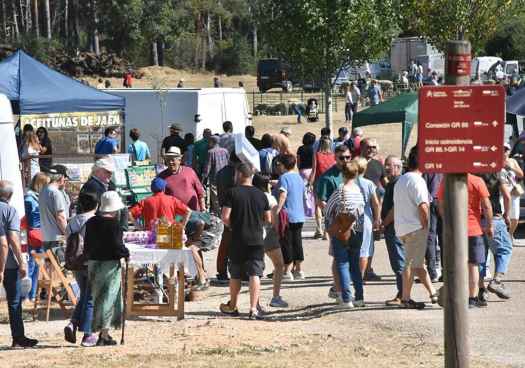 ASAJA Soria anima a toda la sociedad a visitar la XXV Feria Ganadera de Vinuesa