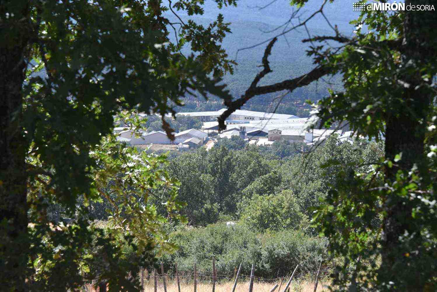 Más de un millón a nueva cuadrilla de prevención y extinción de incendios forestales en Covaleda