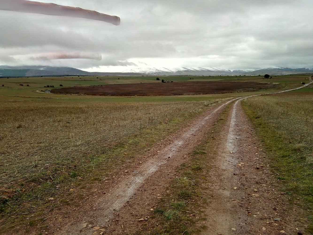 La Junta restaurará ecosistemas de dos complejos lagunares en la provincia