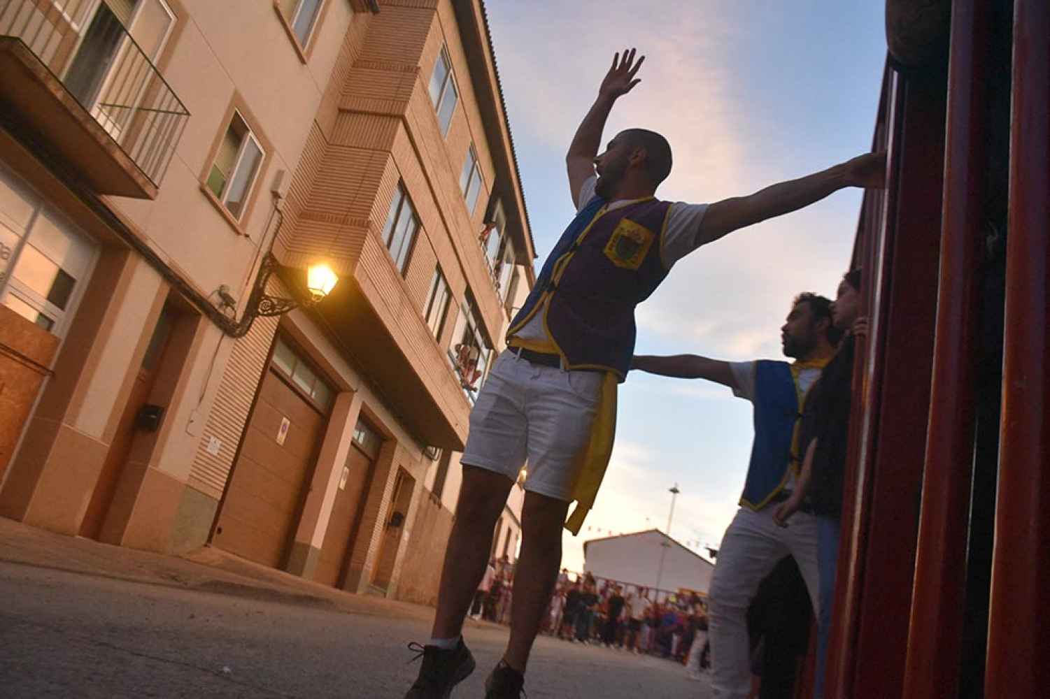Encierro de reses bravas en las fiestas de Ólvega