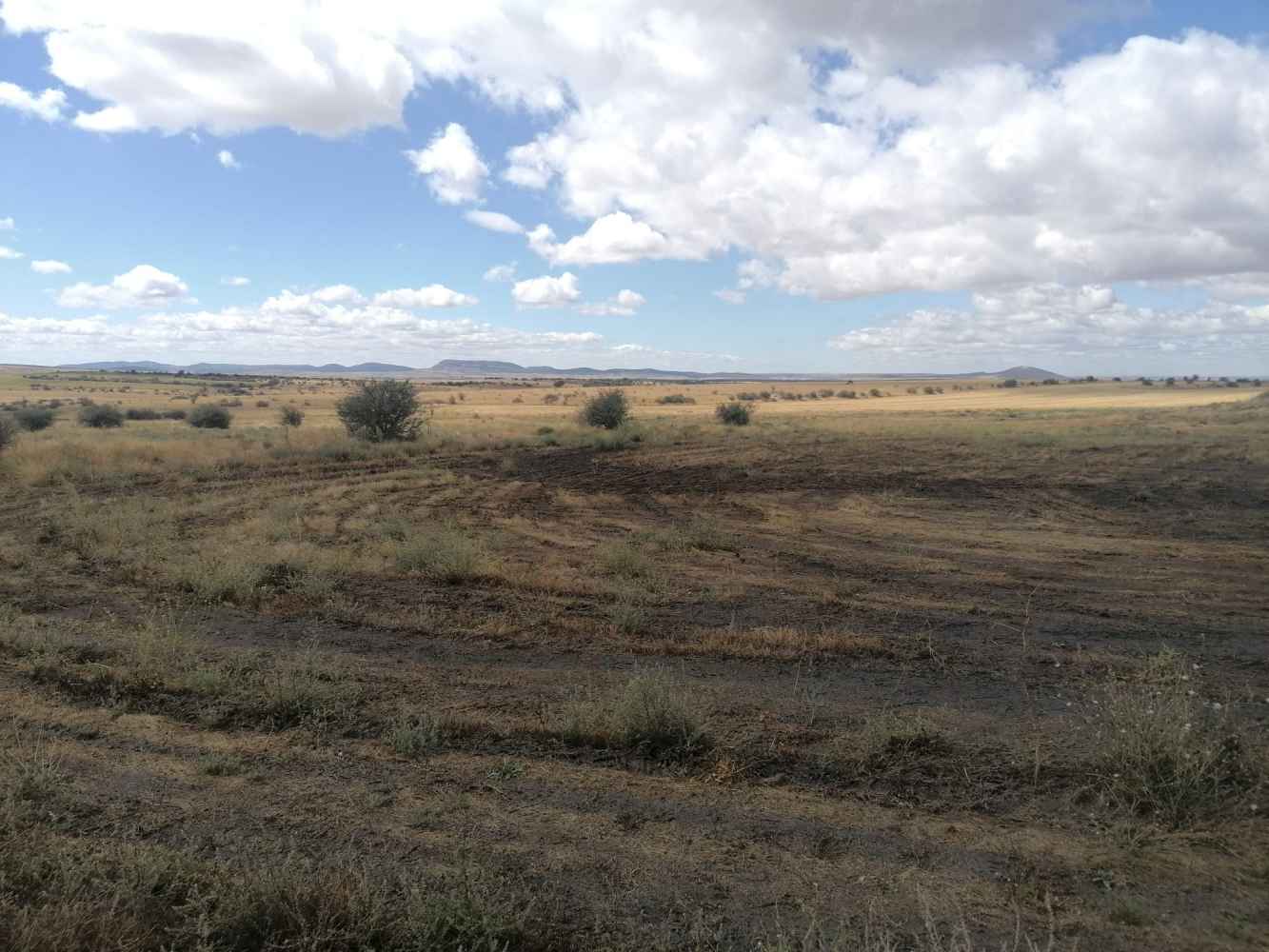 ASDEN denuncia vertidos de digestatos en la comarca del Moncayo soriano