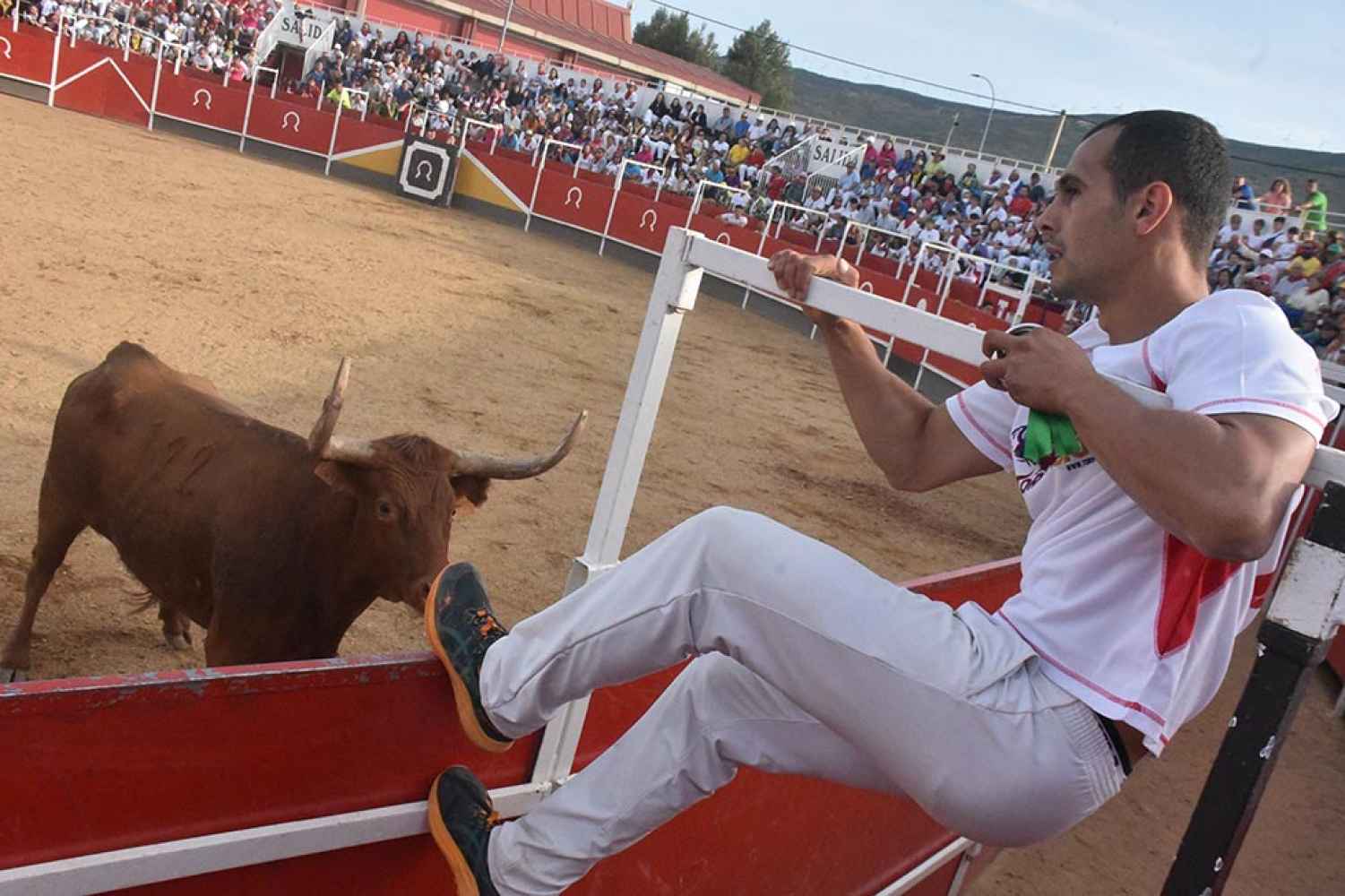 Ólvega en fiestas: concurso de anillas