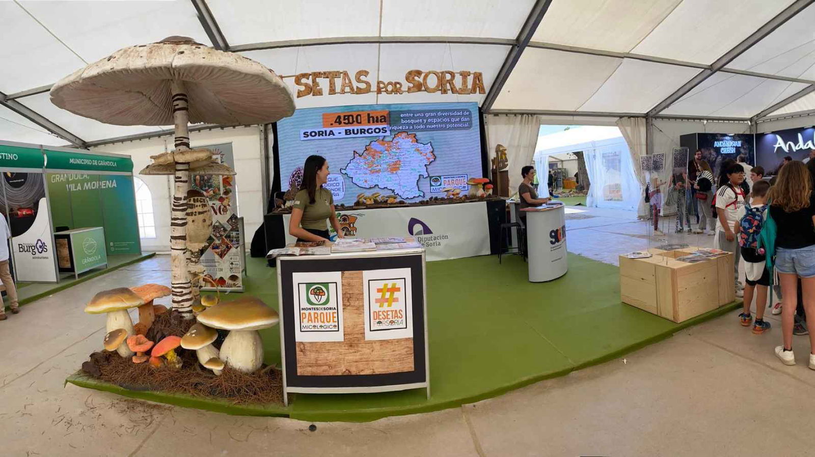 Soria mejora su presencia en la feria Naturcyl con stand propio de la Diputación
