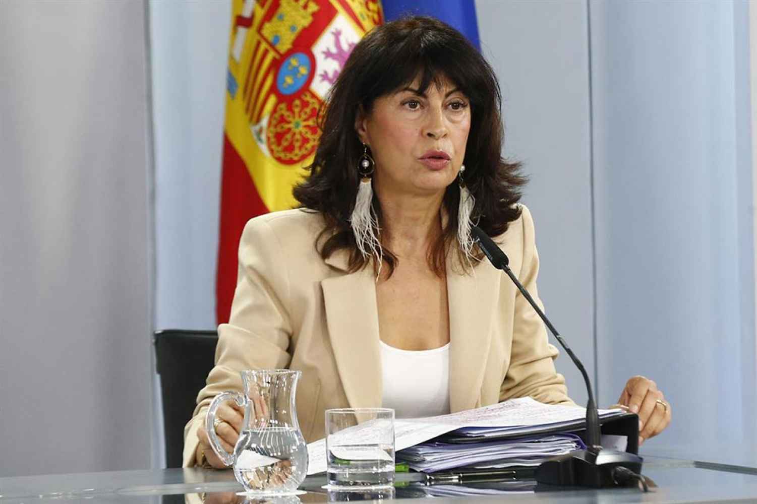 El Gobierno impulsa la lucha contra la violencia vicaria