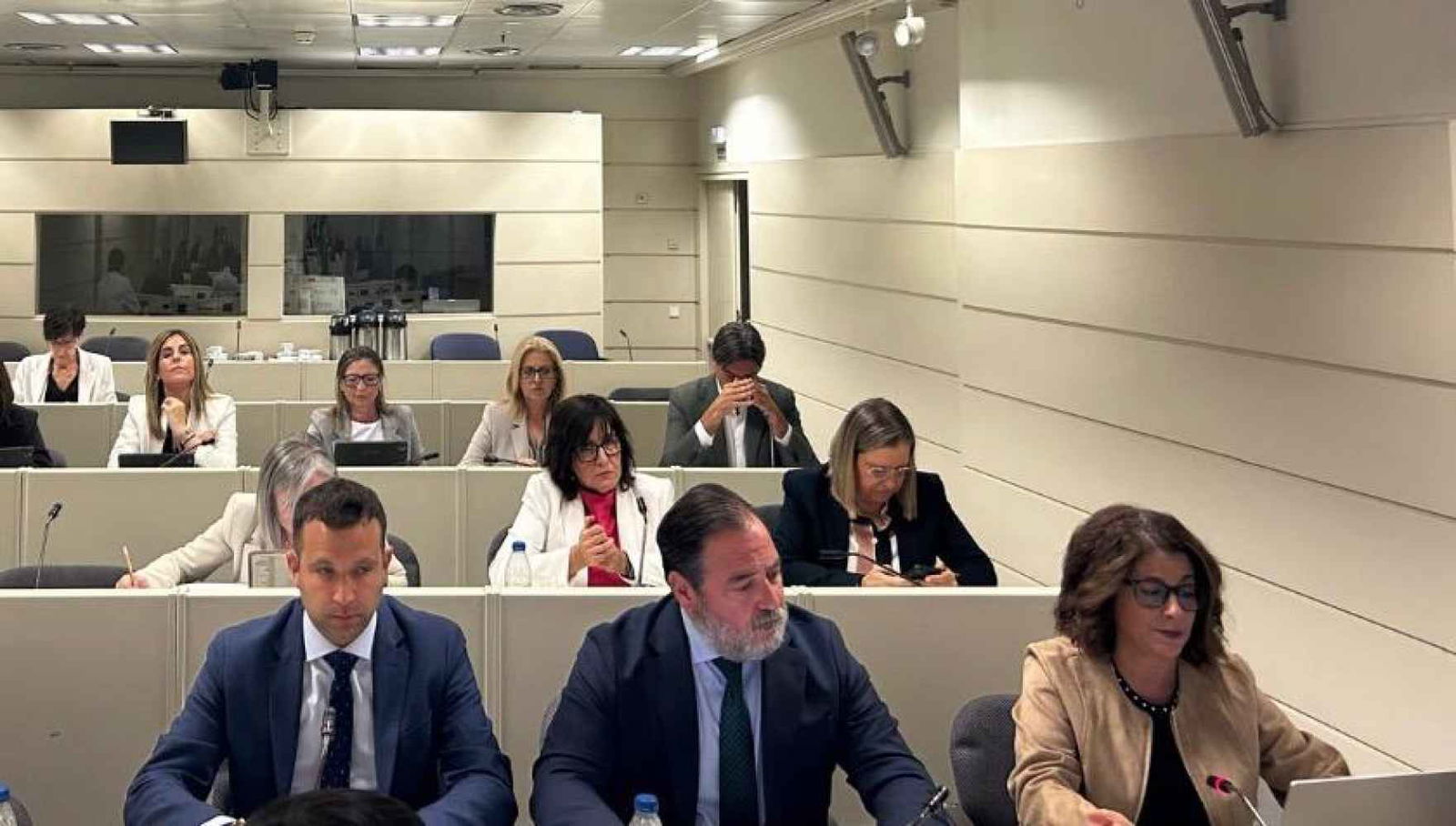 El Senado respalda dos mociones para ayudas al funcionamiento y travesía de El Burgo de Osma